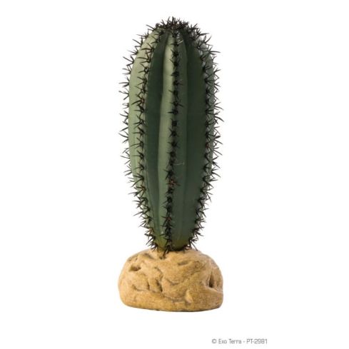 Exoterra Kaktus pylv�s jalalla